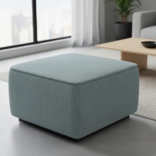 Catifea raiată FUTURE lichen