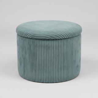 Catifea raiată HANNIBAL lichen