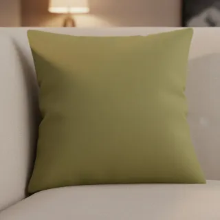 CANVAS olive