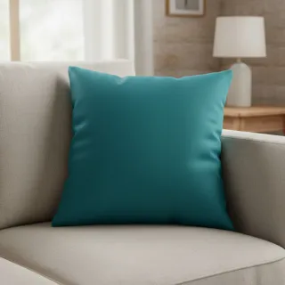 CANVAS petrol