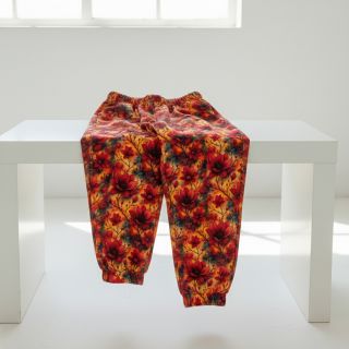 Jerse trening Pixy design B digital print