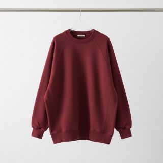 Jerse trening pieptănat JOGGING berry