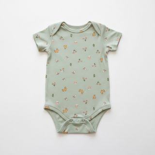 Tricot Bunnies sage ORGANIC