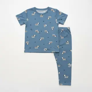 Țesătură din bumbac FLANNEL Zebras blue