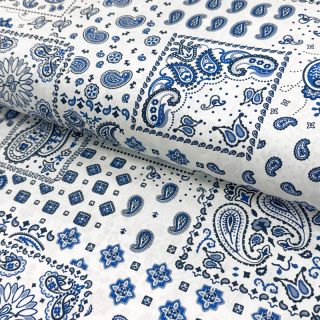 Țesătură din bumbac Kansas blanc blue