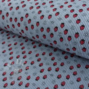 Catifea raiată STRETCH Little strawberries old blue