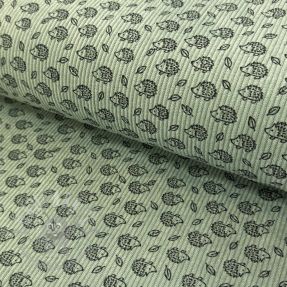 Catifea raiată STRETCH Little hedgehog old green