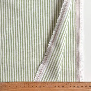 In cu bumbac Stripe green