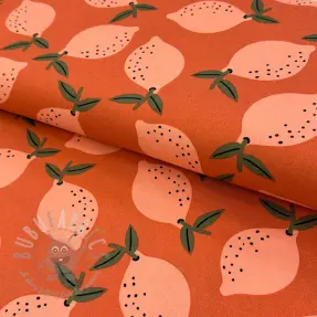 Țesătură decorativă Fruits design F