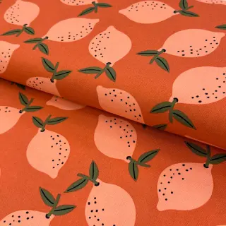 Țesătură decorativă Fruits design F