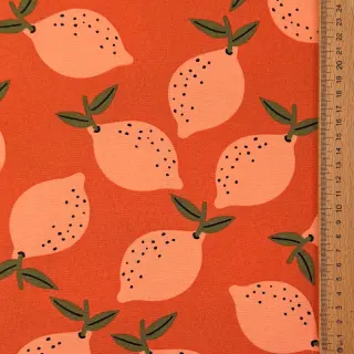 Țesătură decorativă Fruits design F