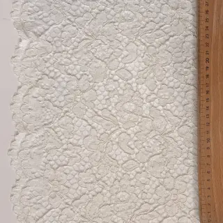 Dantelă Scallop off white