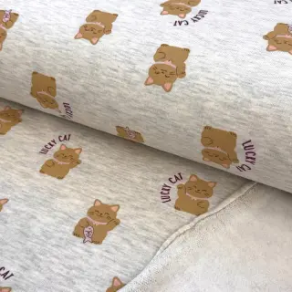 Jerse trening pieptănat Lucky cat off white melange