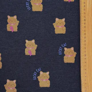 Jerse trening pieptănat Lucky cat navy melange