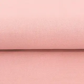 CANVAS rose