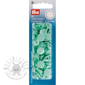 Colorsnaps PRYM mint