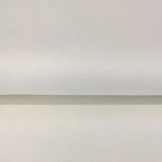 CANVAS ecru