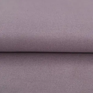 CANVAS lilac