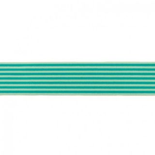 Elastic neted 4 cm Stripe apple