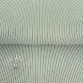 Catifea raiată mint