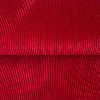 Catifea raiată red