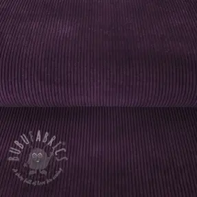 Catifea raiată aubergine