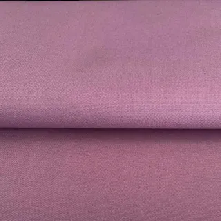 CANVAS mauve