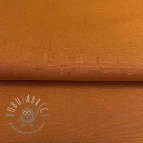 CANVAS rust