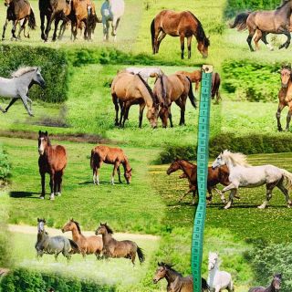 Țesătură decorativă Horses in Meadow digital print