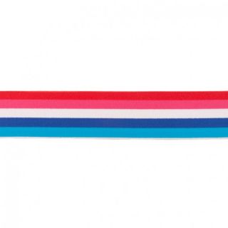 Elastic neted 4 cm Multistripe 6