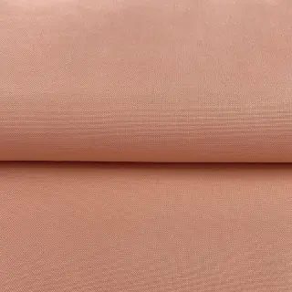 CANVAS blush