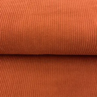 Catifea raiată orange