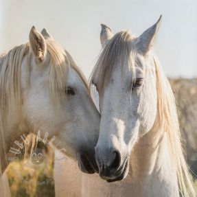 Piele sintetică KARIA Horse love PANEL