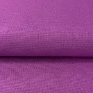 CANVAS violet