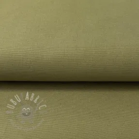 CANVAS olive