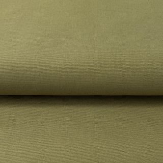 CANVAS olive