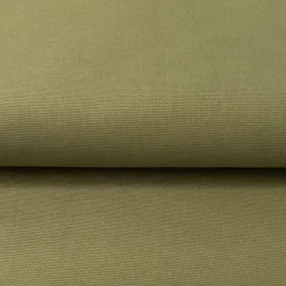 CANVAS olive