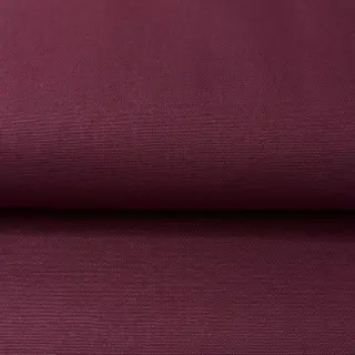 CANVAS aubergine