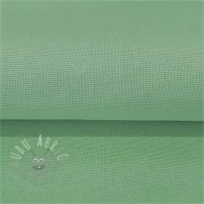 CANVAS mint