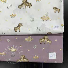 Last pieces package Țesătură din bumbac 4390