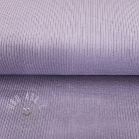 Catifea raiată lilac