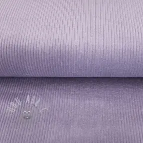 Catifea raiată lilac