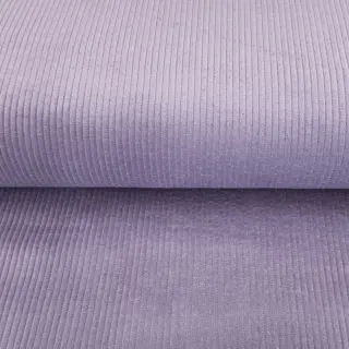 Catifea raiată lilac