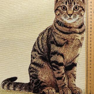 Țesătură decorativă GOBELIN PREMIUM Sitting Kitten Cat PANEL