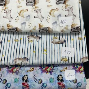 Last pieces package Țesătură din bumbac 4521