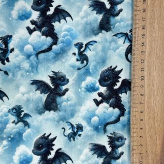 Jerse trening pieptănat JOGGING Dragons design C digital print